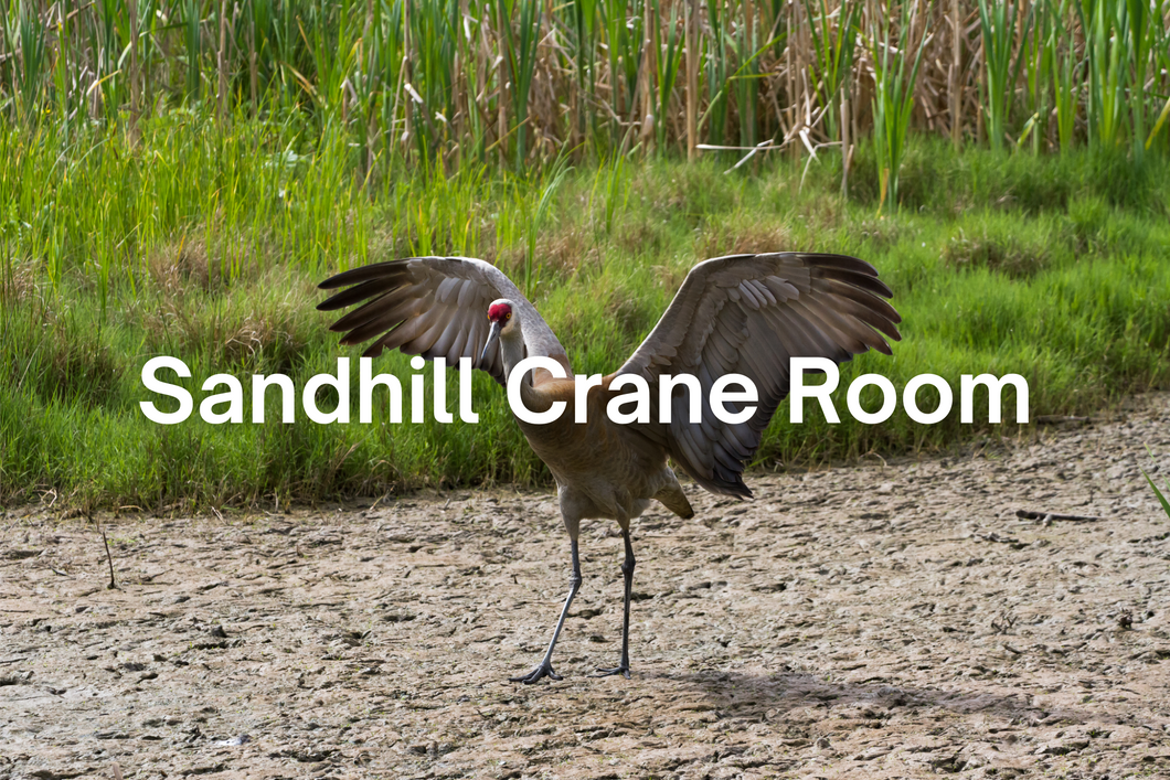 Sandhill Crane Room